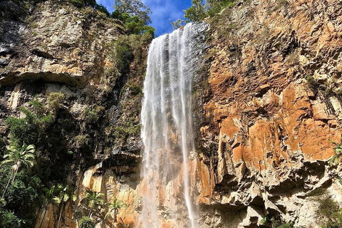 Springbrook Full Day Tour - Restaurant Guide 2