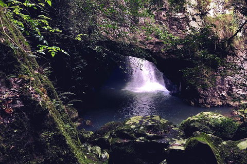 Springbrook Full Day Tour - Restaurant Guide 3