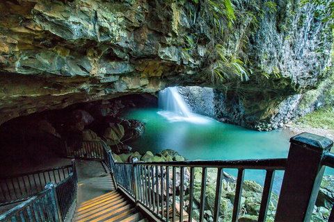 Springbrook Full Day Tour - Restaurant Guide 4