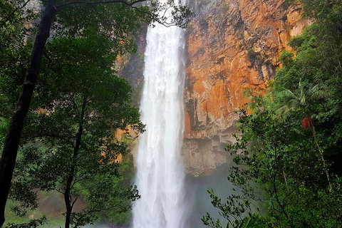 Springbrook Full Day Tour - Restaurant Guide 5