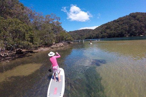 Ku-ring-gai Chase National Park Stand Up Paddleboard Tour - Restaurant Guide 0