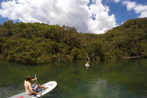Ku-ring-gai Chase National Park Stand Up Paddleboard Tour - Restaurant Guide 1