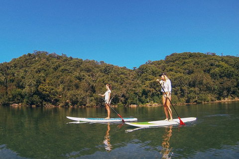 Ku-ring-gai Chase National Park Stand Up Paddleboard Tour - Restaurant Guide 2