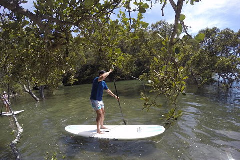 Ku-ring-gai Chase National Park Stand Up Paddleboard Tour - Restaurant Guide 3