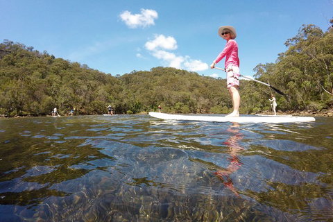 Ku-ring-gai Chase National Park Stand Up Paddleboard Tour - Restaurant Guide 4