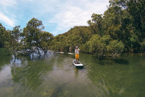 Ku-ring-gai Chase National Park Stand Up Paddleboard Tour - Restaurant Guide 5