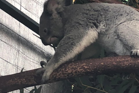Perth Hills - Wildlife, Art & Gastronomy - Restaurant Guide 3