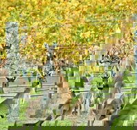 Margaret River Indulge and Discover Day Tour - Restaurant Guide