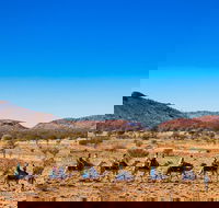 Alice Springs Camel Tour - Restaurant Guide