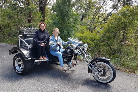Blue Mountains 1-Hour Trike Tour Of Three Sisters - Restaurant Guide 1