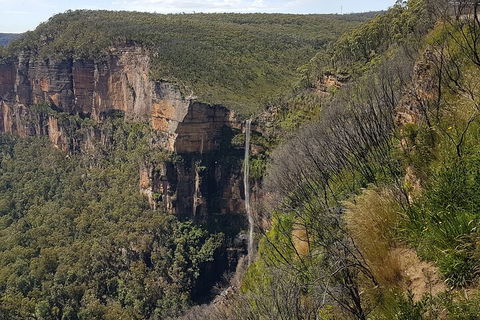 Blue Mountains 1-Hour Trike Tour Of Three Sisters - Restaurant Guide 5