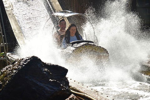 Theme Park Transfer From Brisbane - Restaurant Guide 1