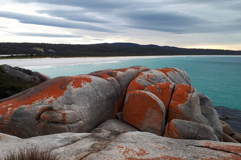 3-Day Bay Of Fires Photography Workshop From Hobart - Restaurant Guide 0