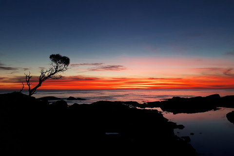3-Day Bay Of Fires Photography Workshop From Hobart - Restaurant Guide 1