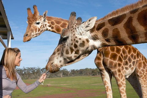 Melbourne City Card (2 Days): Visit Unlimited Attractions! - Restaurant Guide 1