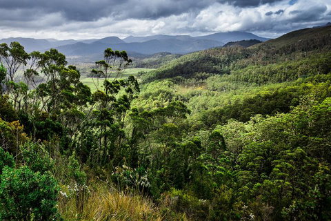 3-Day Tour To The Falls, Mountains, Lake & More Of West Coast Tasmania - Restaurant Guide 0