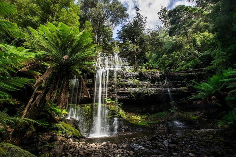 3-Day Tour To The Falls, Mountains, Lake & More Of West Coast Tasmania - Restaurant Guide 4