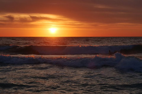 Australian Animals, Seascape And Sunset Photography Tour - Restaurant Guide 5
