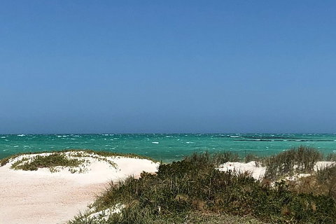 Private Pinnacles Day Tour - Restaurant Guide 2