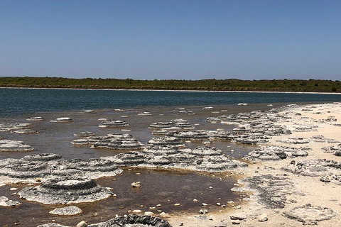 Private Pinnacles Day Tour - Restaurant Guide 5