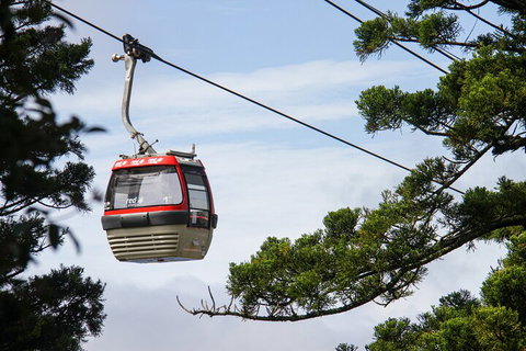 Sydney Taronga Zoo General Entry Ticket And Wild Australia Experience - Restaurant Guide 2