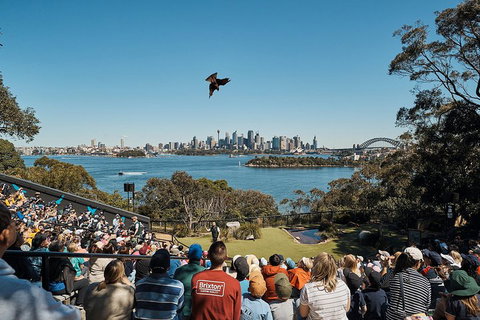Sydney Taronga Zoo General Entry Ticket And Wild Australia Experience - Restaurant Guide 5