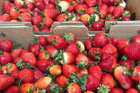 [Private Tour] Mornington Peninsula Family, Maze And Fun! - Restaurant Guide 2