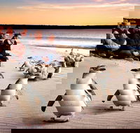 Private Tour Penguin Parade Phillip Island Tour. - Restaurant Guide