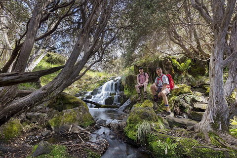 LGBT+ Friendly 3 Day Tour The Grampians, Daylesford & Ballarat - Restaurant Guide 3