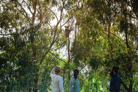 LGBT+ Friendly 3 Day Tour The Grampians, Daylesford & Ballarat - Restaurant Guide 4