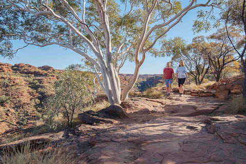 3-Day Tour From Uluru (Ayers Rock) To Alice Springs Via Kings Canyon - Restaurant Guide 1