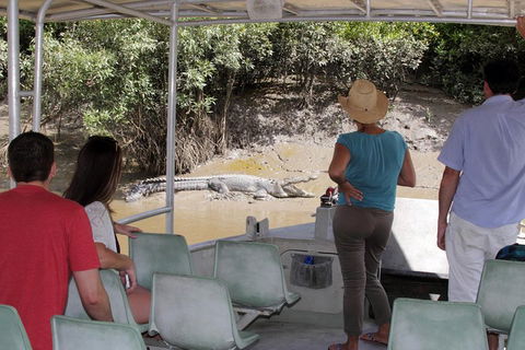 Whitsunday Crocodile Safari Including Lunch - Restaurant Guide 4