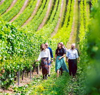 Tasmanian Wine Tour - Restaurant Guide