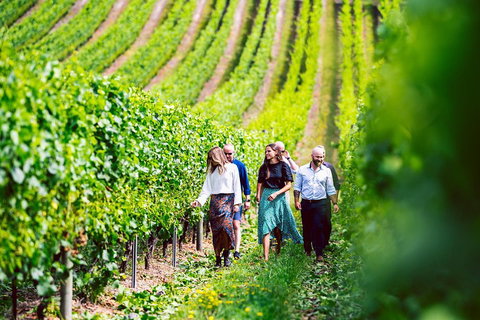 Tasmanian Wine Tour - Restaurant Guide 0