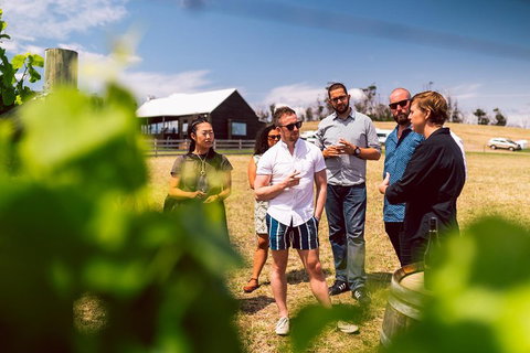 Tasmanian Wine Tour - Restaurant Guide 5