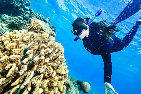 Green Island Day Trip From Cairns - Restaurant Guide 1