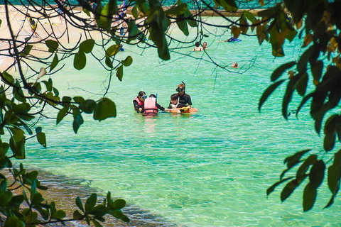 Green Island Day Trip From Cairns - Restaurant Guide 2