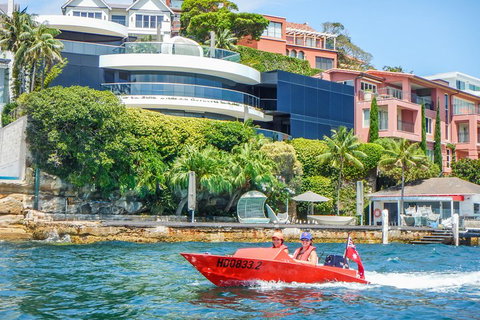 Sydney Speed Boat Adventure Harbour Tour - Restaurant Guide 3