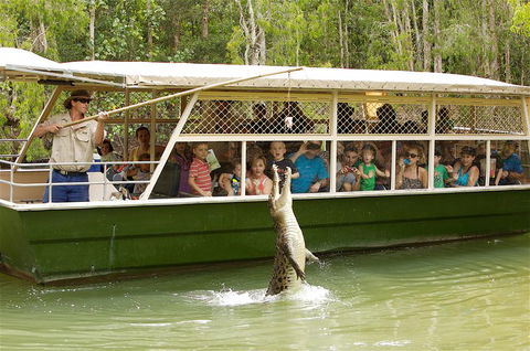 Hartley's Crocodile Adventure Half-Day Tour - Restaurant Guide 0