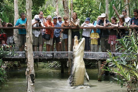 Hartley's Crocodile Adventure Half-Day Tour - Restaurant Guide 1