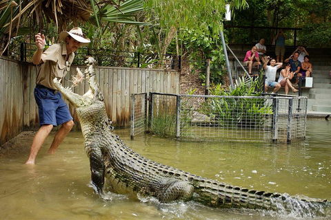 Hartley's Crocodile Adventure Half-Day Tour - Restaurant Guide 2