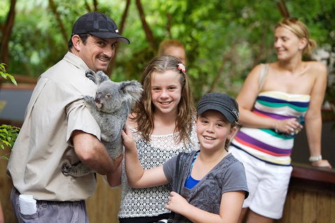 Hartley's Crocodile Adventure Half-Day Tour - Restaurant Guide 3