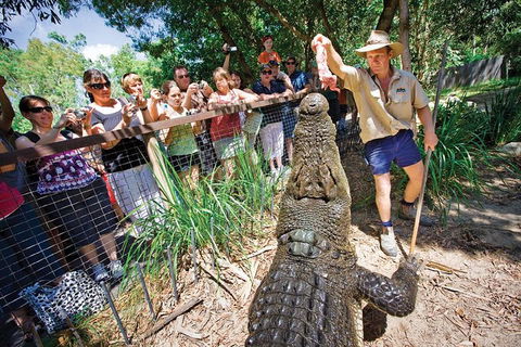 Hartley's Crocodile Adventure Half-Day Tour - Restaurant Guide 4