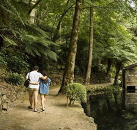 Discover Tour Dandenong Ranges  William Ricketts Sanctuary - Restaurant Guide