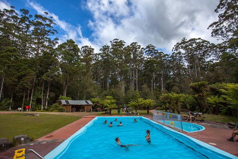 Tahune Airwalk Active Day Trip From Hobart Including Hastings Caves - Restaurant Guide 0