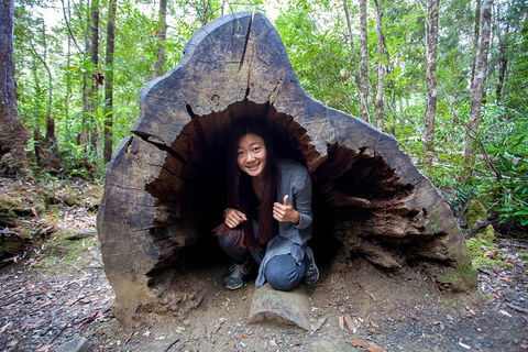 Tahune Airwalk Active Day Trip From Hobart Including Hastings Caves - Restaurant Guide 2