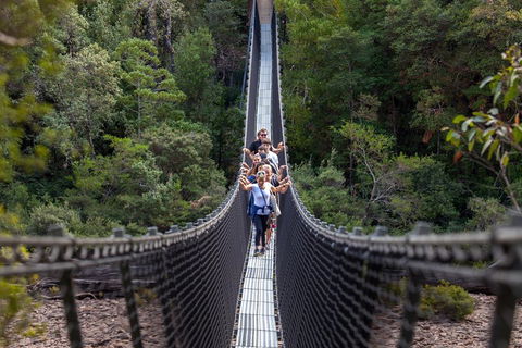 Tahune Airwalk Active Day Trip From Hobart Including Hastings Caves - Restaurant Guide 3