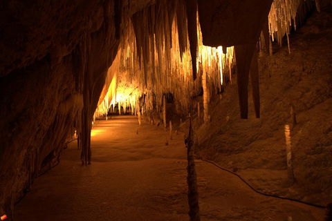 Tahune Airwalk Active Day Trip From Hobart Including Hastings Caves - Restaurant Guide 4