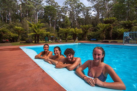 Tahune Airwalk Active Day Trip From Hobart Including Hastings Caves - Restaurant Guide 5