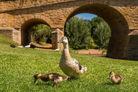 Richmond Historic Afternoon Tour From Hobart - Restaurant Guide 1